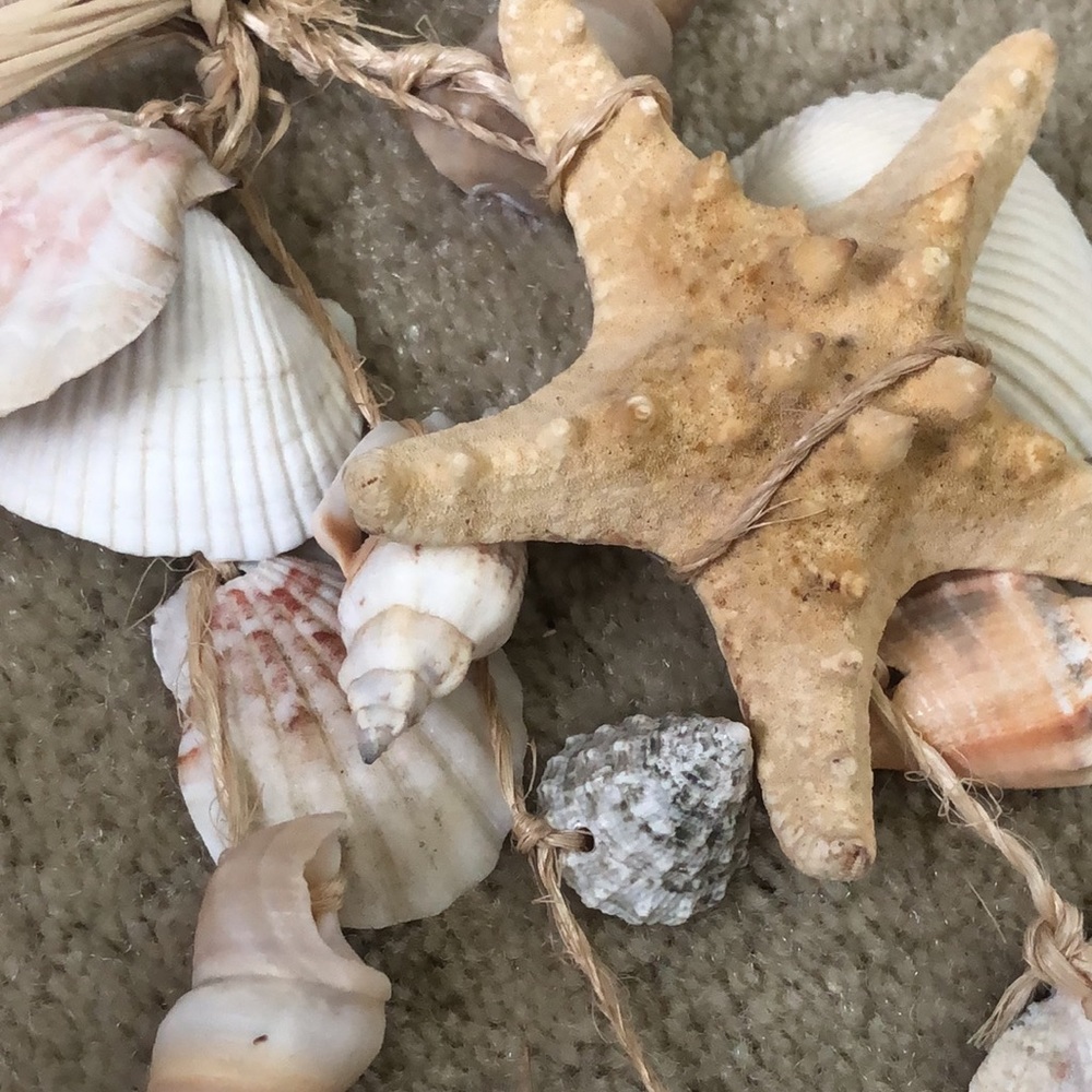 2 for $12! Seashell and raffia hanging doorway decor (set of 2) - Picture 10 of 14